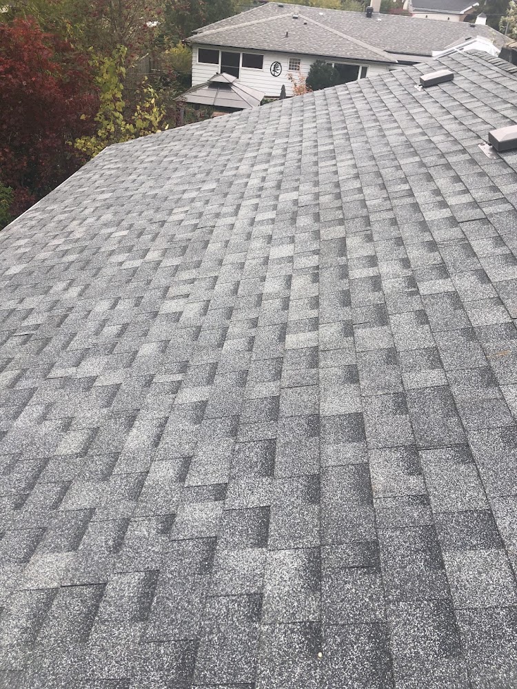 Abraham Roofing