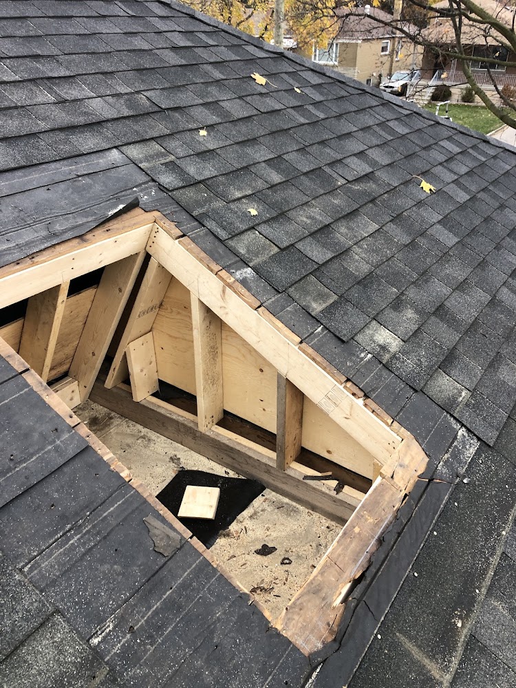 The Roof Whisperer of Etobicoke