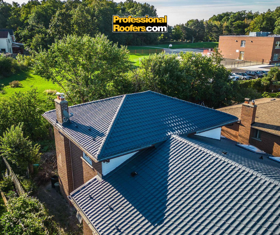 Professional Roofers.