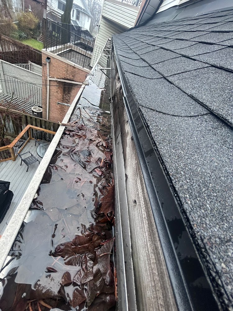 The Roof Whisperer of North York